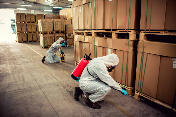 Best Emergency Pest Control  in Cameron, TX