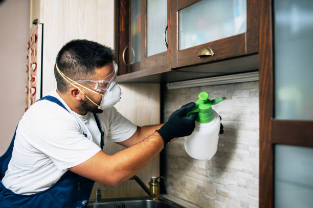 Best Pest Removal Services  in Cameron, TX