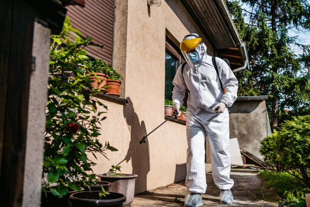 Best Cockroach Control Services  in Cameron, TX