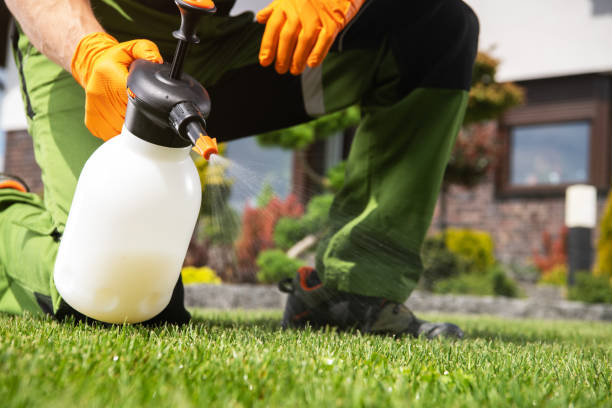 Best Mosquito Control Services  in Cameron, TX