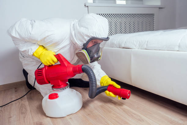 Pest Prevention Services in Cameron, TX
