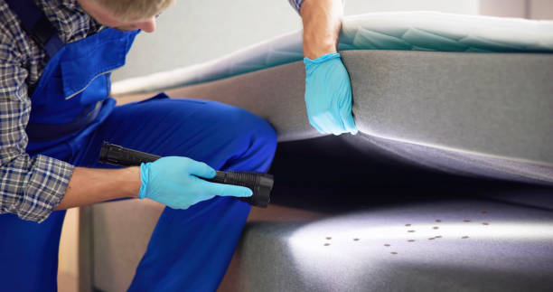 Best Best Pest Control Companies  in Cameron, TX