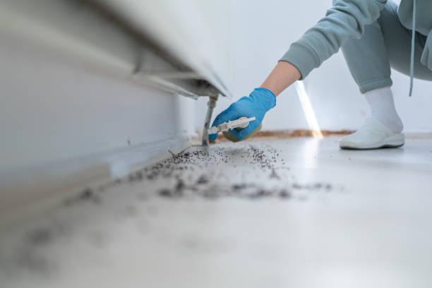 Best Pest Prevention Services  in Cameron, TX